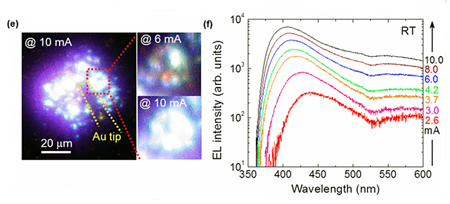 (e) Light emission from the micro-rod LED; (f) EL spectra at room temperature.