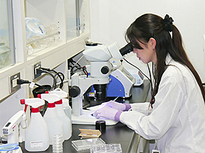 Super resolution 3D imaging at  Nagoya University.