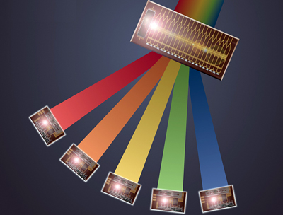 New Infinera PICs are being developed for line cards and systems.