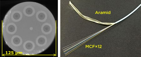 The newly-developed multi-core fiber features 8 cores (left).