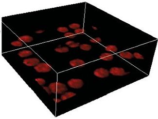 Improved axial resolution through non-linear effects
