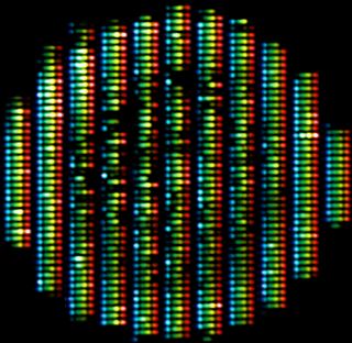 Full spectral nature: cancer cell culture