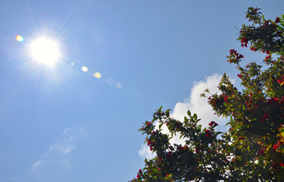 Plenary talks investigated how to convert more sunshine.