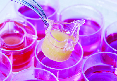 Macroscopic image of a fatty tissue equivalent - a seven-layered 