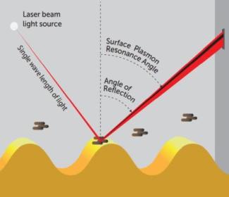 Spotting Legionella via surface plasmon resonance