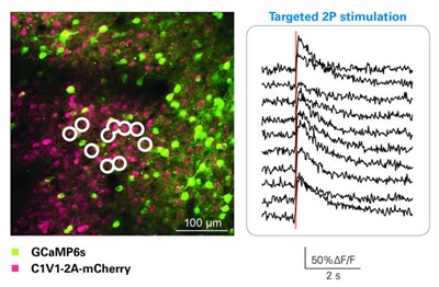 Multi-neuron stimulation