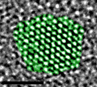 Quantum dots: new weapon in the superbugs arms race