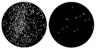 Small but deadly: quantum dots do what antibacterial agents cannot