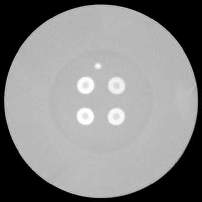 Cross-section of the newly-developed coupled multi-core fiber. 
