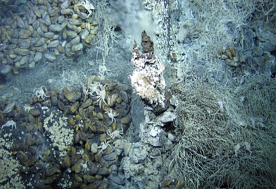 Objective: large deposits of sulphides on the seabed. 