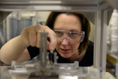 Professor Sheila Rowan