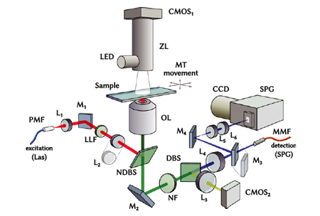 Optical layout of the experimental setup; two Raman detection paths are shown.