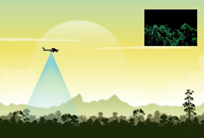 Tree-mendous; an airborne lidar spotted the giant Yellow Meranti.