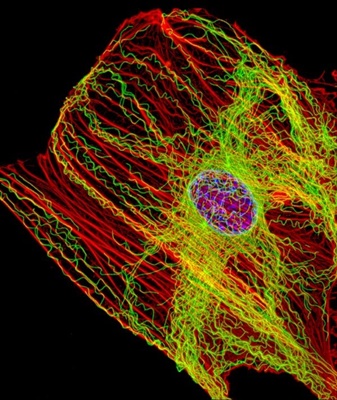 Super-resolution imaging