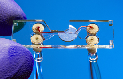 Sorting chip for analyzing and isolating cells in a blood sample.
