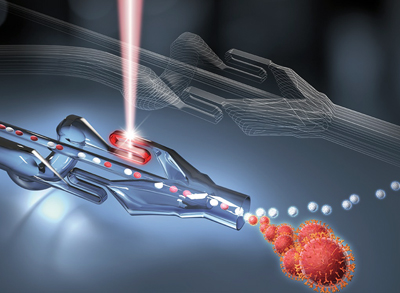 Structure of the sorting chip for sorting cells and particles with laser light. 