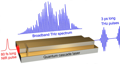 Broadband terahertz amplifier based on a quantum cascade laser.