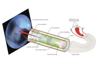 Multimode: reflectance and fluorescence