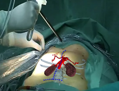 Kinder cuts: operating times could be reduced by 11%