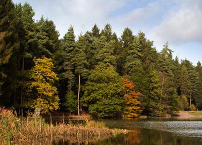 Lidar-mapped: the UK's Forest of Dean.