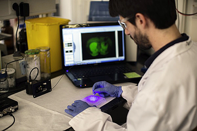 The Barcelona study provides the first example of a painkilling drug activated by light.