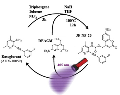 The drug is activated when illuminated at the correct wavelength by an optical fiber.