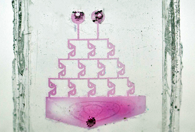 Small but perfectly formed: 3D-printed glass structures. 