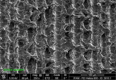 REM-image of a surface processed with a CW laser. 
