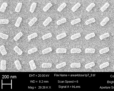 SEM image of the fabricated metasurface.