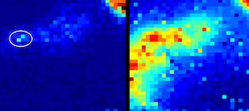 Location revealed: endoscope tip