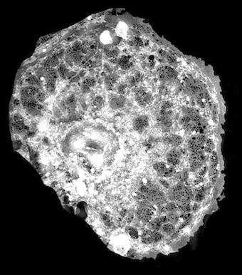 Healthy liver cells: a societal challenge