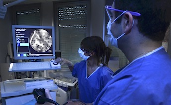 Cellvizio: confocal laser endomicroscopy