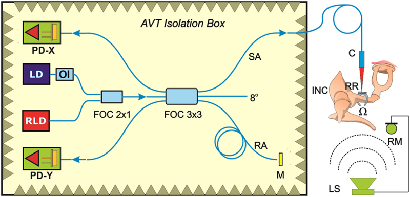 The Austrian-Serbian solution, as described in Biosensors and Bioelectronics, Volume 103, 30 April 2018.