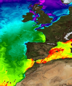 Sea surface temperatures via Copernicus